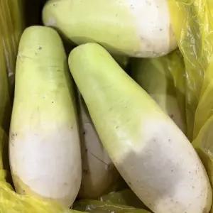 제주 월동무 김장무 무 10kg