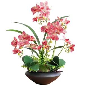 행운 호접란 서양란 사무실 조화화분 서양난 취임 꽃 조화 탁상용 카페