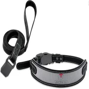 Tokcam 마그네틱 퀵 릴리스 버클 개 목걸이 및 목줄 세트 소형 중형 대형 여자 남자 강아지를 위한 간편한