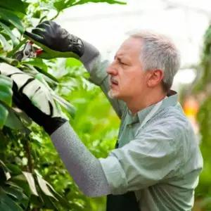 작업용 안전장갑 칼베임 방지 팔토시 세트 토시 (WFK31CW)