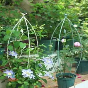 엔틱 화초지지대 꽃화분 묘목 꽃지지대 지지대