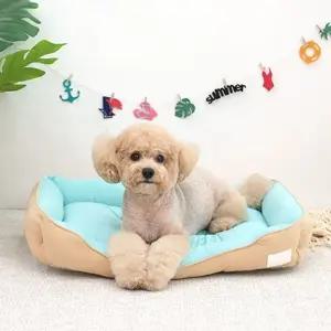 블루베이지 썸머 강아지 쿨 (WFJR2E0)