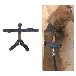 그레이 H 가토 하네스 솔리드 (WFJR2TP)