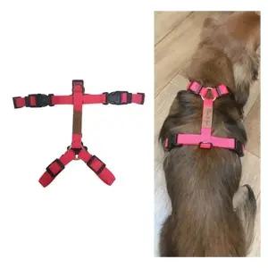 핑크 솔리드 H 하네스 가토 (WFJR2TO)