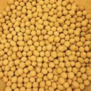 메주콩 곡물 콩 종자 품종 정원 원예 식물 씨앗 30g WA4195E