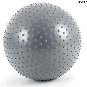 L29 안티버스터 마사지 짐볼 65cm 실버 짐볼 헬스 마