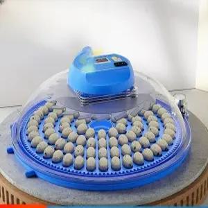 스마트 계란 메추리 부화기 완전 인큐베이터 자동 단일