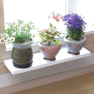 고품질 주방선반 고정력 접이식 공간활용 폴딩 화분선반 1+1 (WFKBBMR)