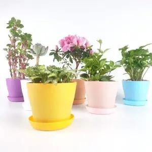 테이퍼 플라스틱화분 빈화분 미니