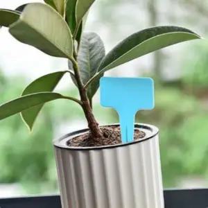 [셀러에이드]꽂이네임택 T자형 원예 식물 이름표 스카이블루