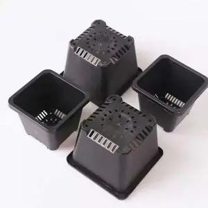 플라스틱 사각 다육이 화분(6.5 X 6.5 cm)