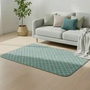 신일 전기요 EMF 인증 탄소 싱글 카본 열선 전자파없는 전기장판 TP10 1인용 전기매트