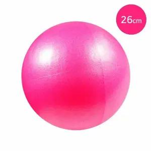 요가공 핑크 미니짐볼 스포츠볼 테스공 운동공