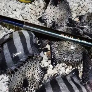 서프 낚시용 원투 캐스팅대 민물 바다 낚싯대 피싱 로드