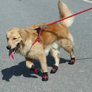 [모두모아]키밍 애견 외출 방수 신발 강아지 개 레인부츠 외출용 반려동물 반려견