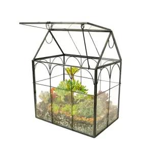 온실장 아크릴온실 잔디 테라리움 식물