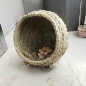 병아리 수제 35CM 닭산란통 여름 알둥지 부화장 닭둥지