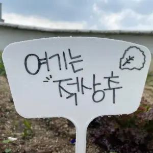 고품질 식물 화분 이름표 일자형 정원 팻말 47cm 화단 표시명판 (WFKG182)