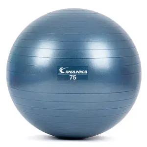 아이워너 안티버스트 짐볼 75cm 블루 인디고 홈트운동