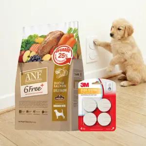 [SET] ANF 6Free+ 인도어 독 오리고기연어 5.6kg +전기안전 소켓 (강아지 안전 세트)