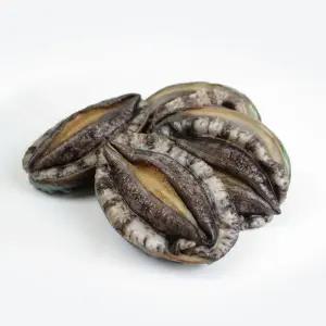 산지직송 완도 참 전복 1kg 12-13마리 / 산소포장