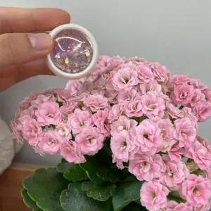 네일아트재료 스팽글 네일글리터 핑크아이-WFIPADT