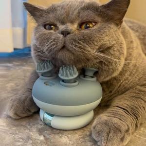 고양이 안마기 강아지 브러쉬 자동 무소음 고양이마사지기계 애완동물 방수 노곤노곤