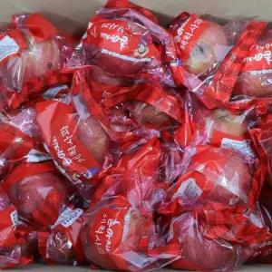 GAP 청송 부사 세척사과 가정용 4kg 소과 (25-35과) 개별포장 산지직송 실속형 꿀사과