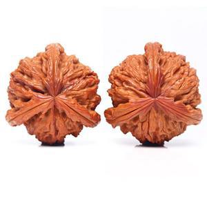 호두마사지기 호도 마사지기 지압 토스 흰사자 도구 사자삼각 손목 선물용