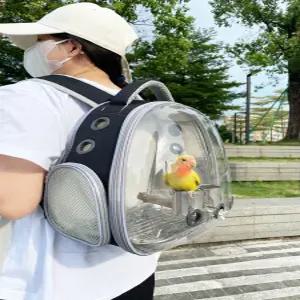 앵무새 이동 가방 투명 배낭 저소음 놀이터 새집 산책가방