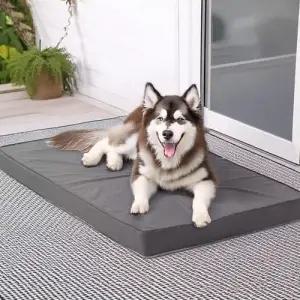 사계절 펫 매트 초특대형 S100 반려동물 미끄럼방지 WFIWK5H