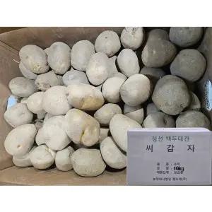 강원도 정선 씨감자 수미 10kg 보급종 감자씨