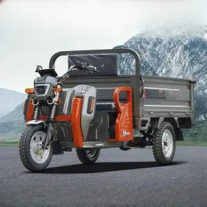 전동 오토바이 전기 삼륜 농업용 운반차 트럭 사발이