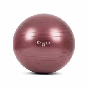 아이워너 안티버스트 파스텔 짐볼 75cm 루비와인