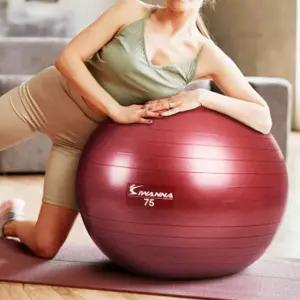 임산부 75cm 와인 루비 스트레칭 짐볼 운동 균형
