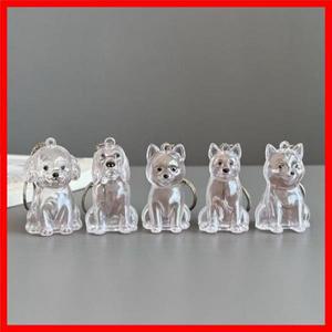 귀여운 강아지 머리카락 보관 키 체인 투명 애완 동물 모피 기념품 캡슐 가방 펜던트 장식 기념품 컬렉션