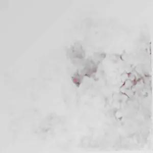 포토존 플라워월 월데코 조화벽장식 FL16 꽃벽 조화