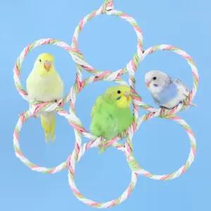 앵무새 버드링 횃대 훈련 장난감 놀이터 용품 횟대 애완조 앵무새장난감