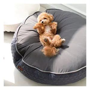 편안함 강아지방석 무중력 우주방석 프리미엄 220353