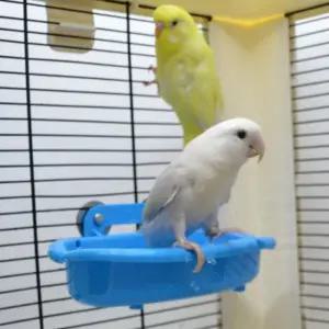 앵무새 식기 욕조 사료그릇 놀이 목욕통 걸이형 앵무새 식기 욕조 사료그릇