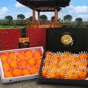 제주 레드향 3kg 5kg 고당도 가정용 설 선물 세트 설날 명절