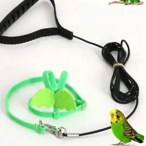 앵무새 리드줄 새 외출 가슴줄 산책줄 하네스