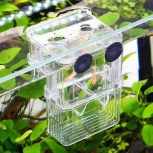 구피 어항 대형 물고기 부화 치어 통 열대어 격리 구