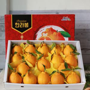 제주 가을이네 한라봉 3kg 5kg 선물세트