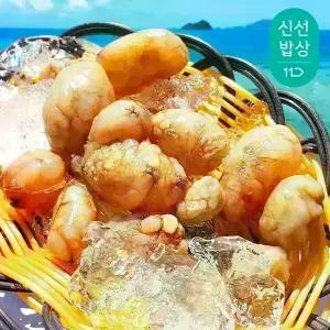 마산 진동 당일바리 제철 햇 오만둥이 (오만디) 500g X 3개 (총 1.5kg/횟감용 신선도)