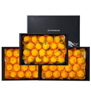 [선물용] 제주 한라봉,천혜향,레드향 4.5kg 세트