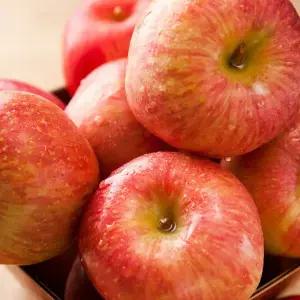 경북 햇사과 가정용 부사사과 2kg 중과 (9-10과)