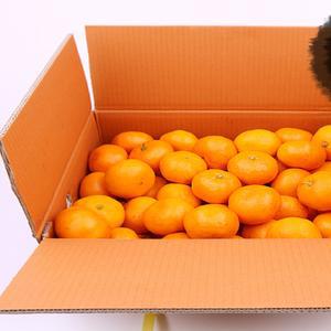 고당도 감귤 5kg 신선농장 제주감귤