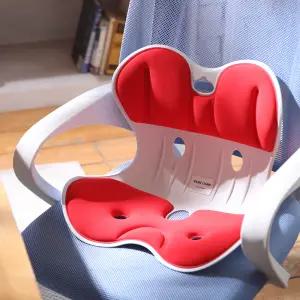 자세교정 의자 컴퓨터 책상 사무실 허리 통증 받침 체형 바른자세 요추 수험생 학생 어린이