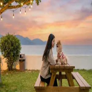 [전남/여수(돌산)] 여수 댕댕이 애견 가족 펜션 골드 (낚시/바다(도보5분)/해수욕장/주차장/애견/독채/오션뷰/공용수영장(실외)/개별바베큐/복층/커플/가족)